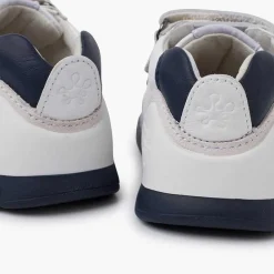 Pisamonas Trainers><noscript><img width=