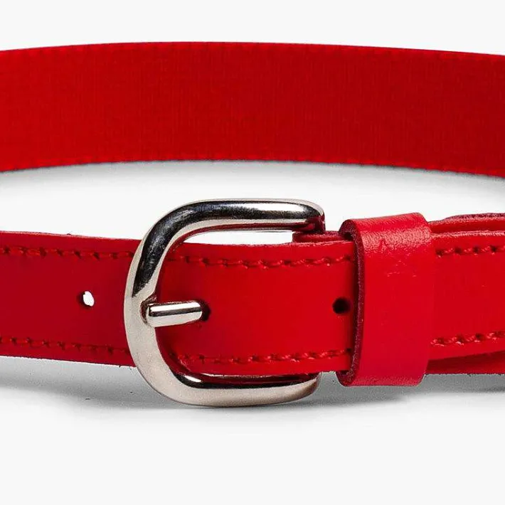 Pisamonas Belts And Braces>Boy'S Plain Elastic Belt