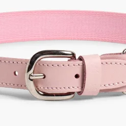 Pisamonas Belts And Braces><noscript><img width=