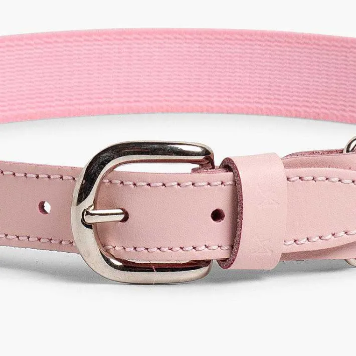 Pisamonas Belts And Braces>Boy'S Plain Elastic Belt