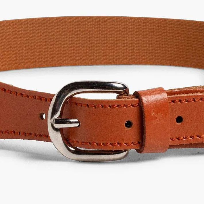 Pisamonas Belts And Braces>Boy'S Plain Elastic Belt