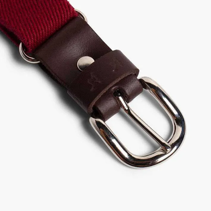 Pisamonas Belts And Braces>Boy'S Plain Elastic Belt