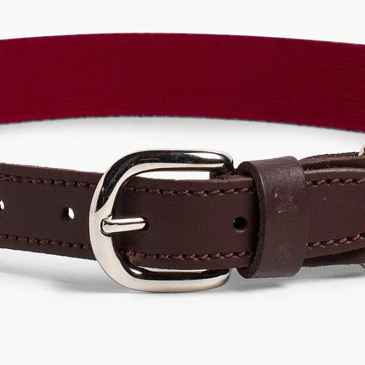 Pisamonas Belts And Braces>Boy'S Plain Elastic Belt