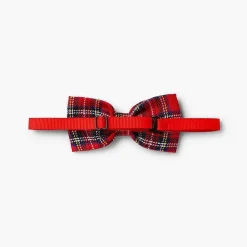 Pisamonas Belts And Braces><noscript><img width=