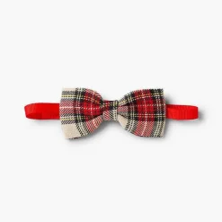 Pisamonas Belts And Braces><noscript><img width=