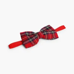 Pisamonas Belts And Braces><noscript><img width=