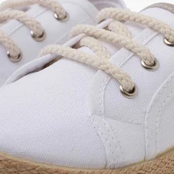 Pisamonas Trainers><noscript><img width=