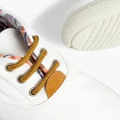 Pisamonas Trainers><noscript><img width=