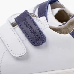 Pisamonas Trainers><noscript><img width=