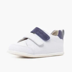 Pisamonas Trainers><noscript><img width=