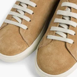 Pisamonas Trainers><noscript><img width=
