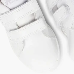 Pisamonas Trainers><noscript><img width=