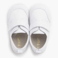 Pisamonas Trainers><noscript><img width=