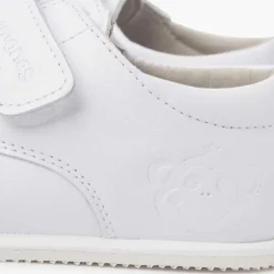 Pisamonas Trainers><noscript><img width=
