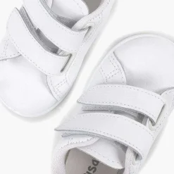 Pisamonas Trainers><noscript><img width=